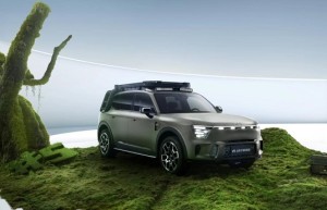 中国人保携手嘉兴吉天夏商贸线上团购会