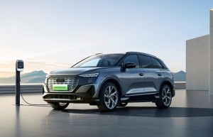 中国人保携手浙江奥昇汽车购车嘉年华