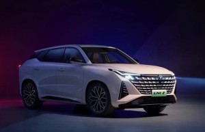 中国人保携手嘉兴国跃汽车线上团购会