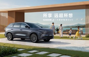 中国人保携手杭州阿弟汽车购车嘉年华