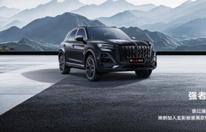 中国人保携手杭州广旗汽车购车嘉年华