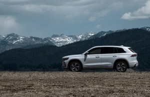 中国人保携手杭州远盛汽车购车嘉年华