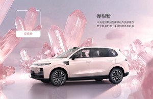 中国人保携手杭州零跑汽车购车嘉年华