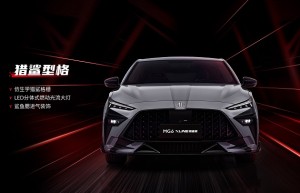 中国人保携手浙江申孚汽车购车嘉年华