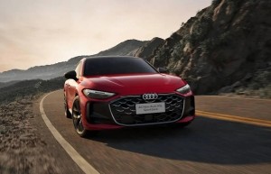 中国人保携手杭州萧山元通奥通汽车购车嘉年华